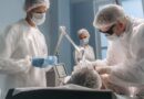 O que é Argoplasma: Guia Completo sobre a Tecnologia